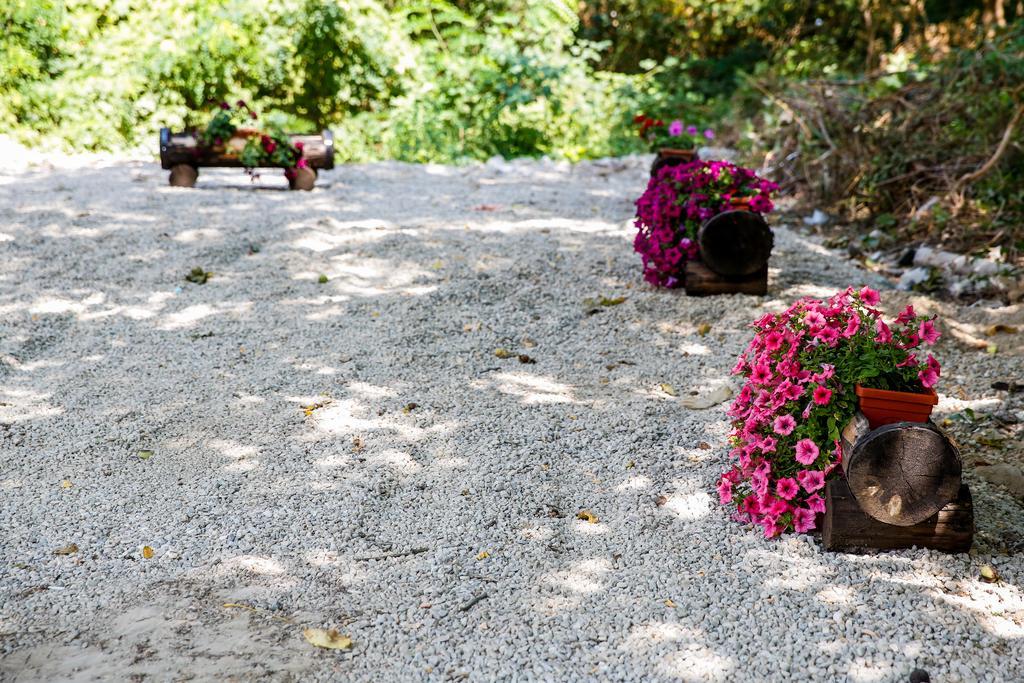 Villa Drecheva Ognyanovo  Εξωτερικό φωτογραφία